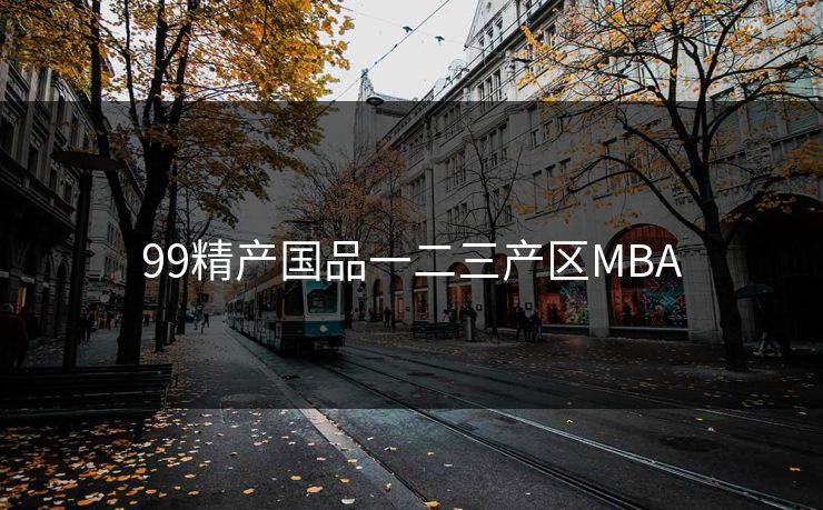 99精产国品一二三产区MBA