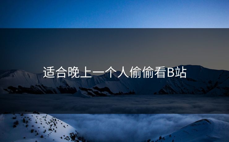 适合晚上一个人偷偷看B站
