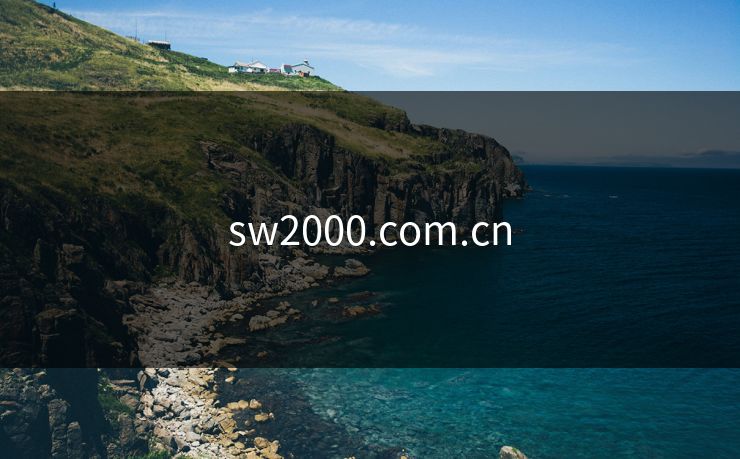 sw2000.com.cn