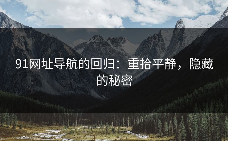 91网址导航的回归：重拾平静，隐藏的秘密