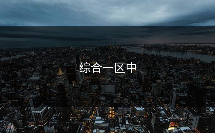 综合一区中