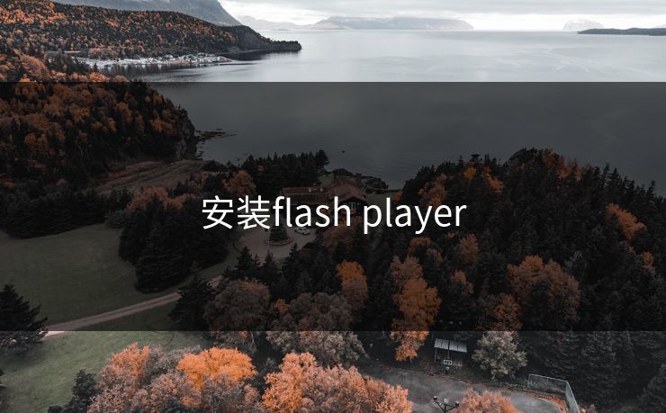 安装flash player