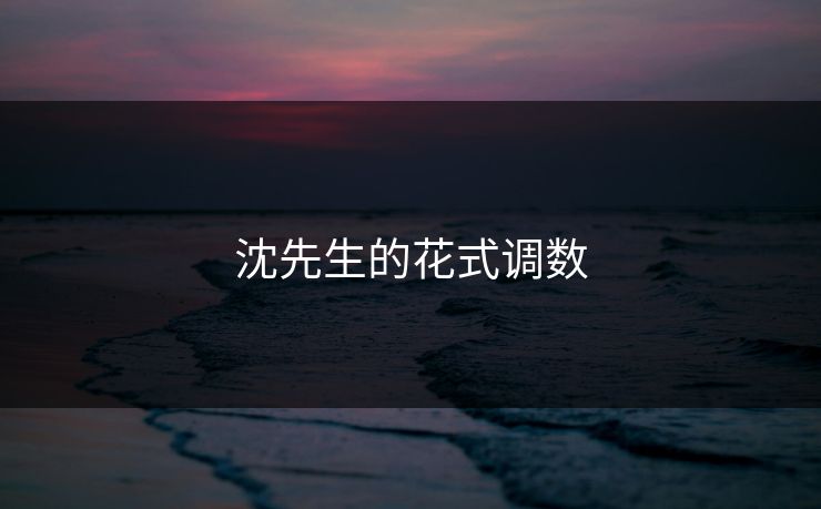 沈先生的花式调数