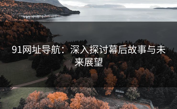 91网址导航：深入探讨幕后故事与未来展望
